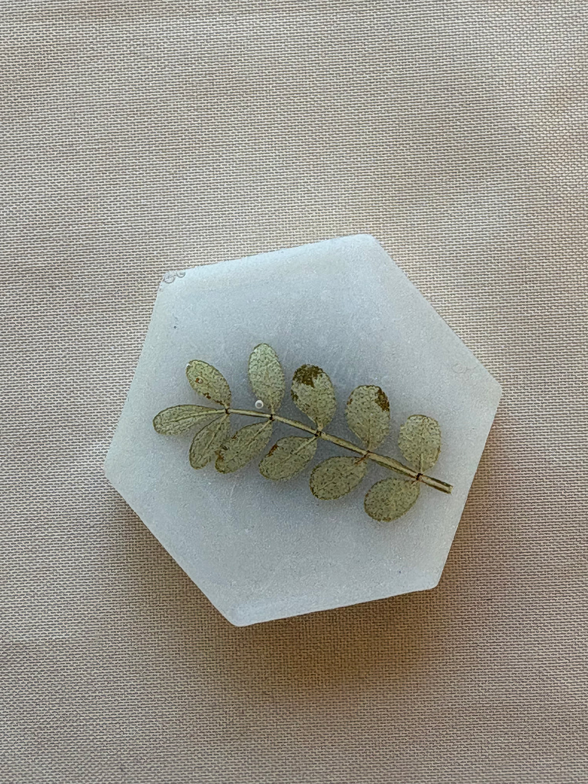 Leaf Resin Magnet